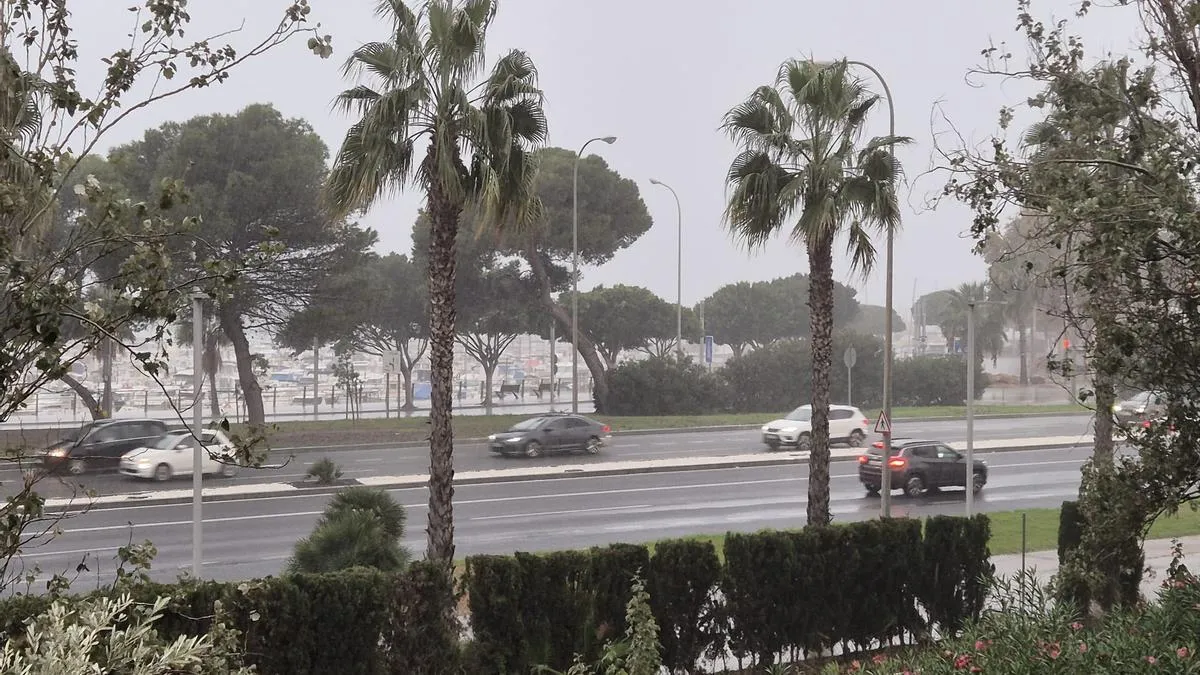 ¡Increíble! El Tiempo en Mallorca: ¿Lluvias o Sol? Descubre lo que te espera este fin de semana