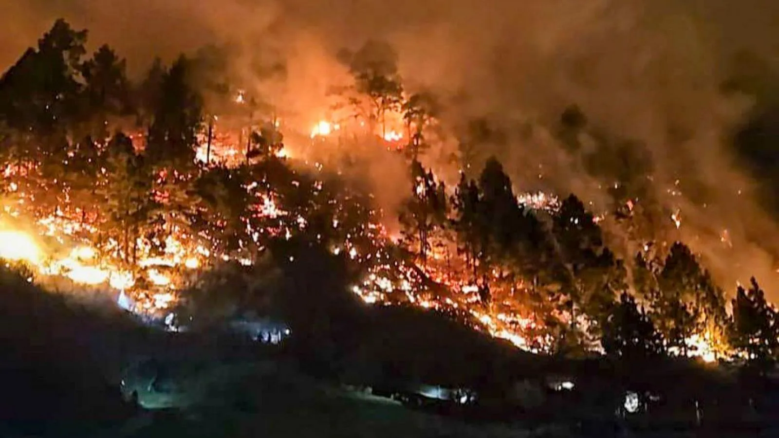 ¡Increíble! El devastador incendio en La Palma que está arrasando todo a su paso