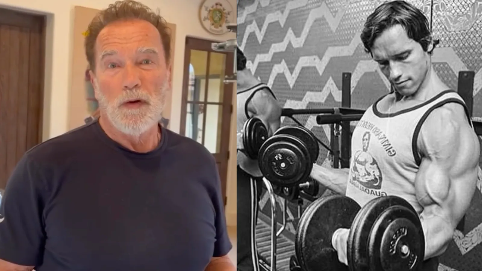 Arnold Schwarzenegger: ¡La Clave para Revitalizar la Economía que Nadie Esperaba!