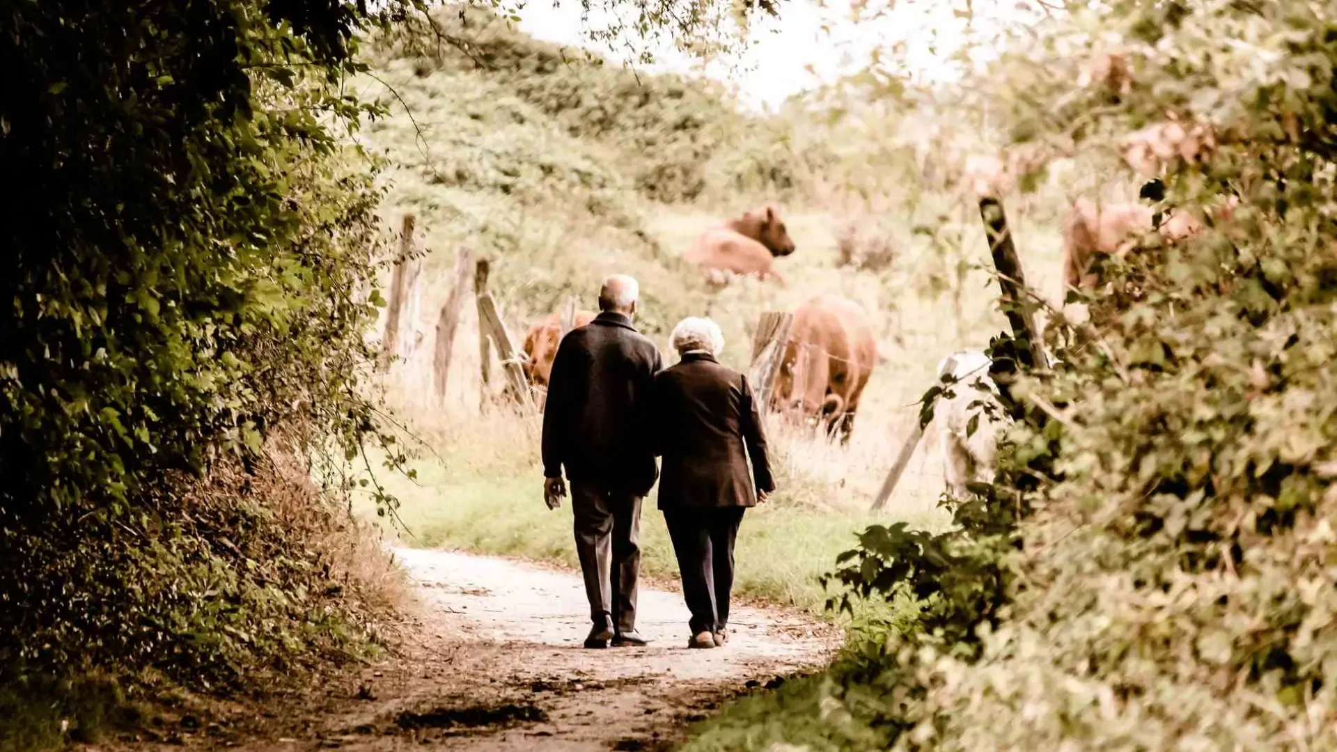 ¿Estás listo para la nueva edad de jubilación? Descubre cómo afectará tu futuro en España