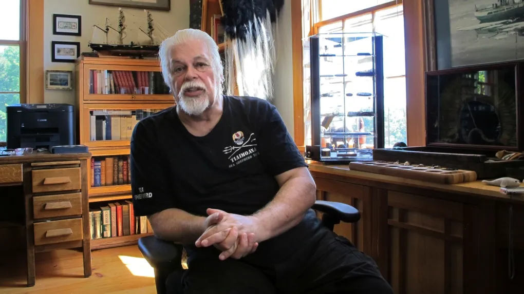 ¡Paul Watson en la Mira! El Activista que Desafía a Japón y Lucha por las Ballenas