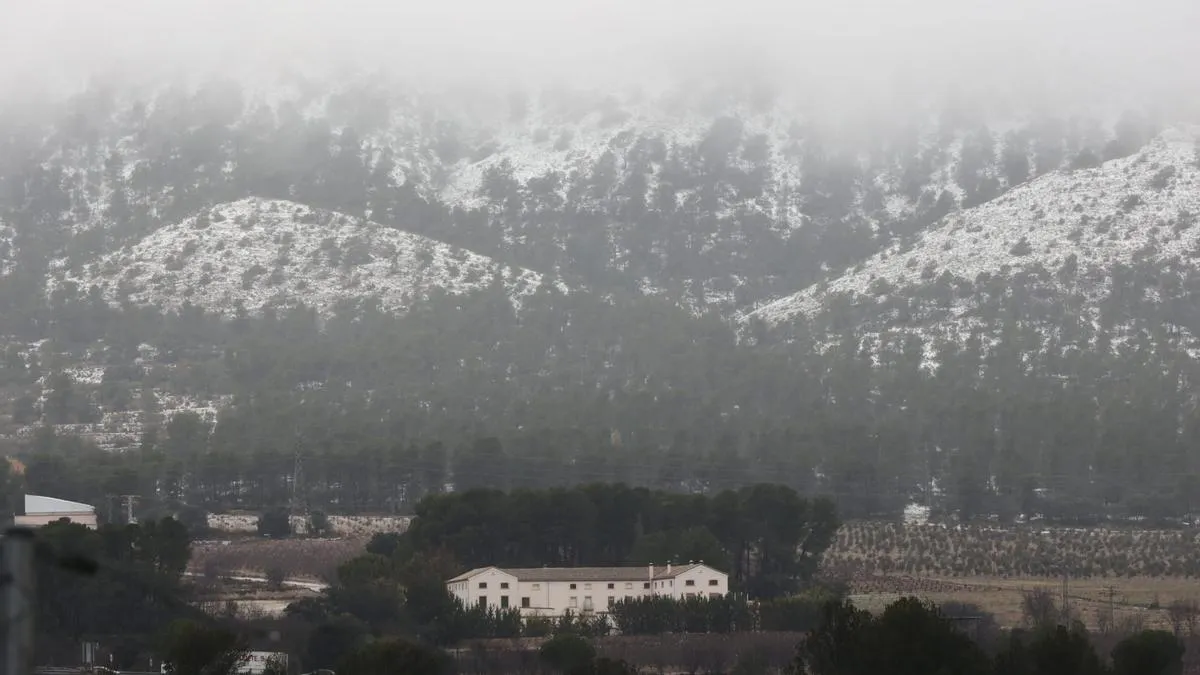 ¡Alicante se cubre de blanco! La nevada más sorprendente del año llega a la costa