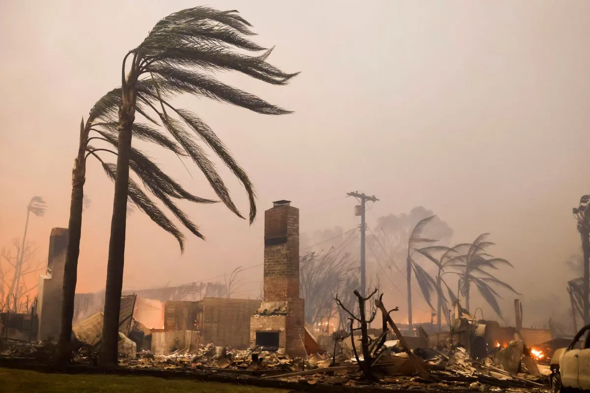 ¡Caos en Los Ángeles! Miles evacuados mientras los incendios arrasan la ciudad