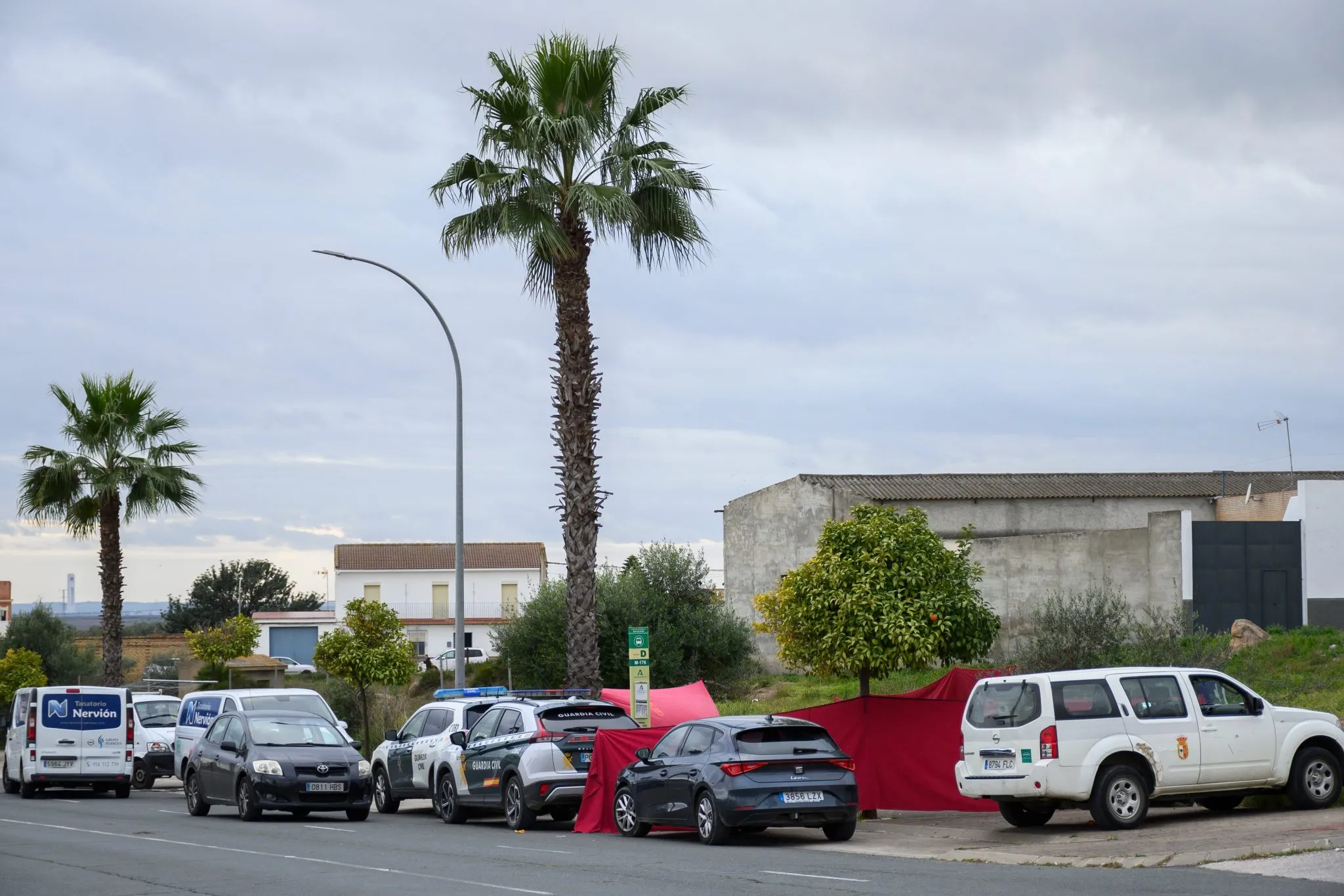 ¡Descubre el Impacto Sorprendente de Gerena en España que Todos Están Comentando!