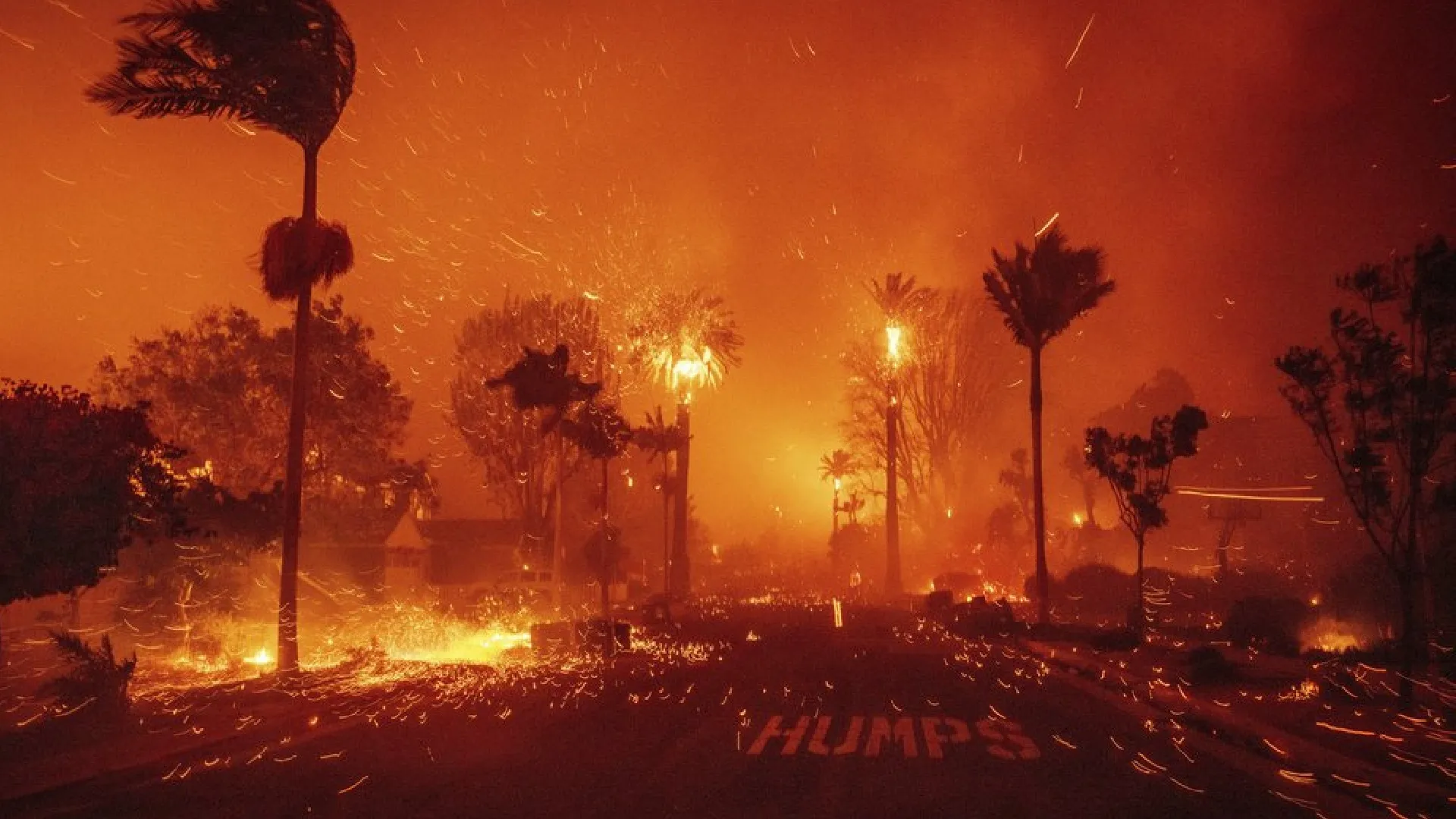 Los Ángeles en llamas: ¿Cómo los incendios están arrasando Hollywood?