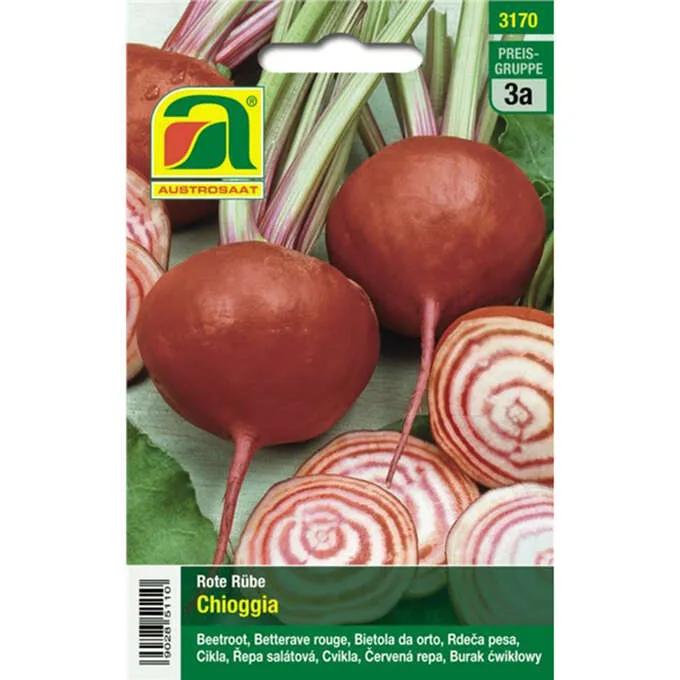 ¡Descubre por qué Chioggia está arrasando en España! La tendencia que no te puedes perder