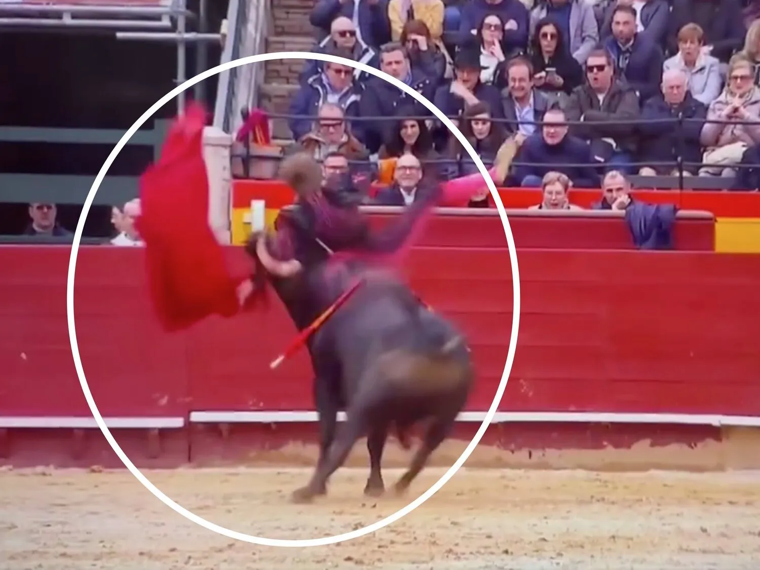 ¡Borja Jiménez: El Torero que Está Revolucionando las Plazas de España!