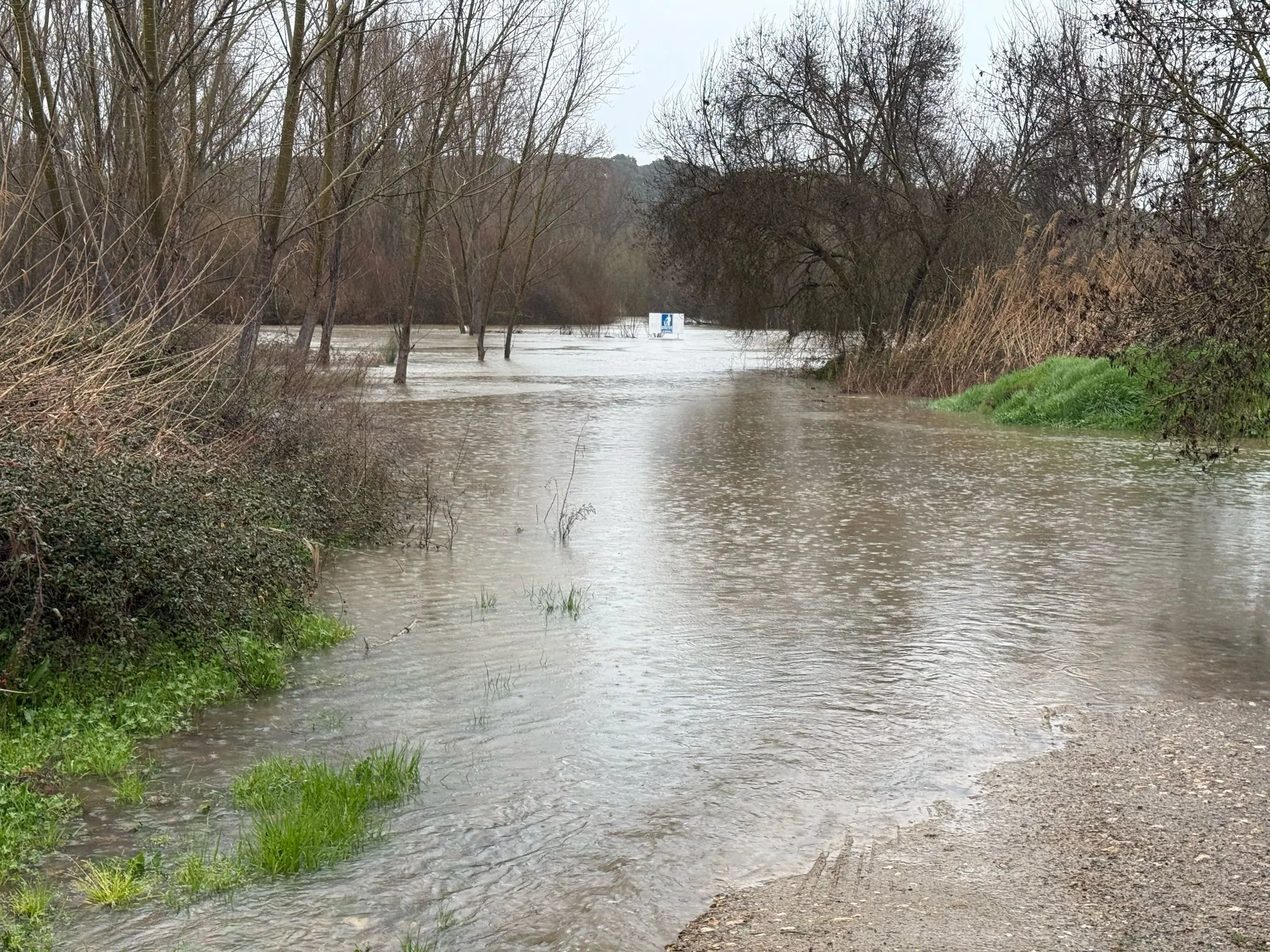 ¡Increíble! El Río Alberche se convierte en el nuevo destino de moda en España