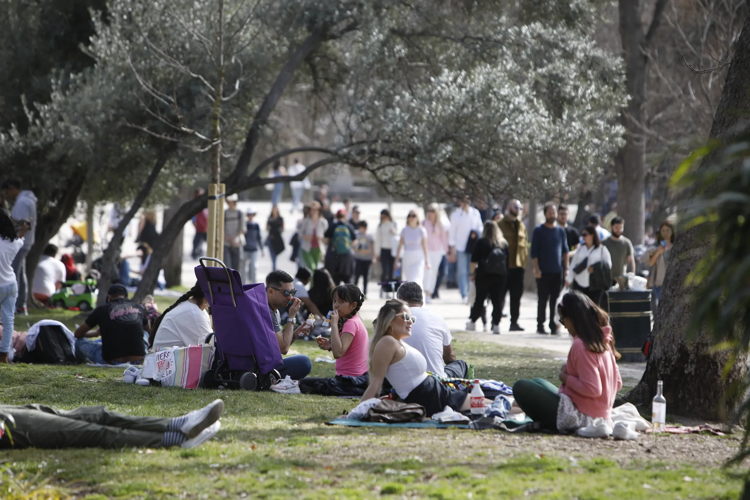 ¡La primavera ya está aquí! Descubre cuándo comienza oficialmente en España