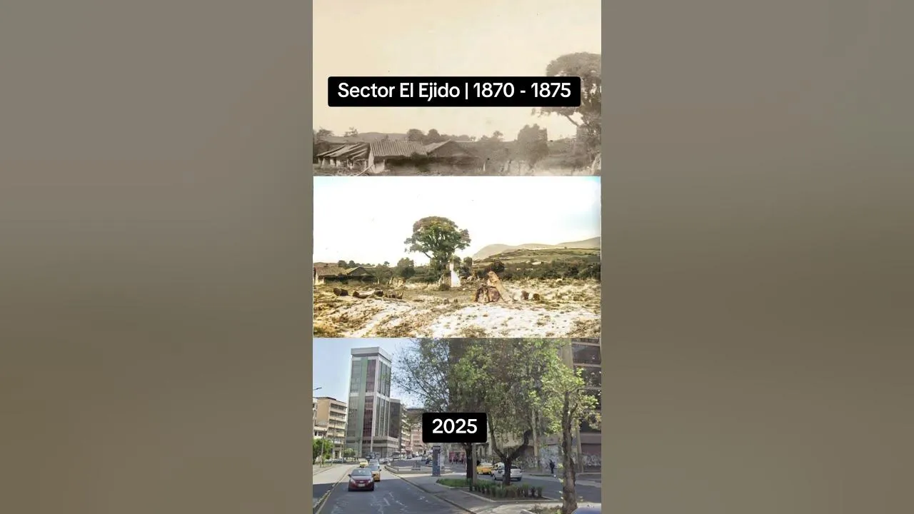 ¡Descubre cómo el 'metropolitano' está revolucionando las ciudades de España!