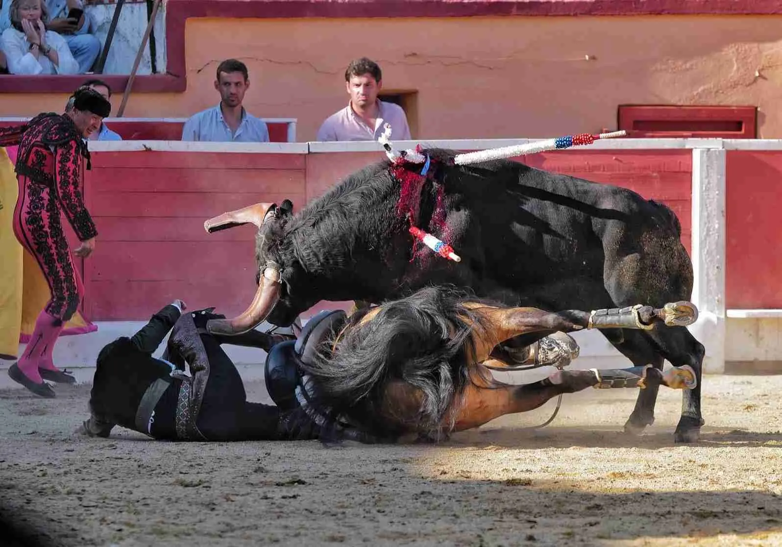 Diego Ventura: El Rejoneador que Está Revolucionando el Arte del Rejoneo en España