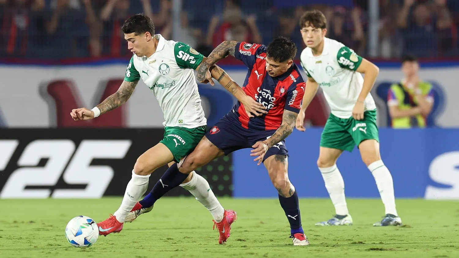 ¡Increíble! El cerro de Palmeiras se convierte en el nuevo destino turístico de España
