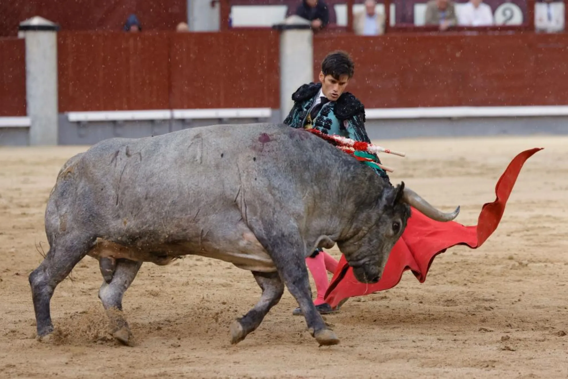 ¡Telemadrid Revoluciona la Tauromaquia: La Feria de San Isidro en Vivo!